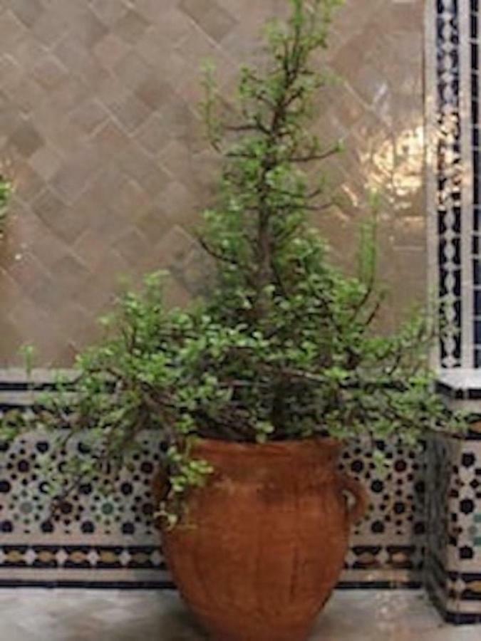 Traditional Moroccan House Тагазут Экстерьер фото